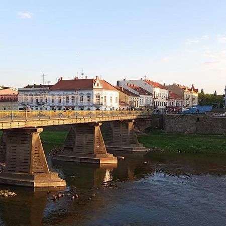 Затишна Двокімнатна Квартира В Самому Серці Ужгорода Uzhhorod Exterior photo
